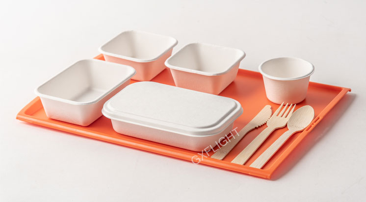 Gxflight sugarcane pulp tableware