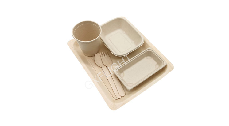 sugarcane-tableware-set-1.jpg