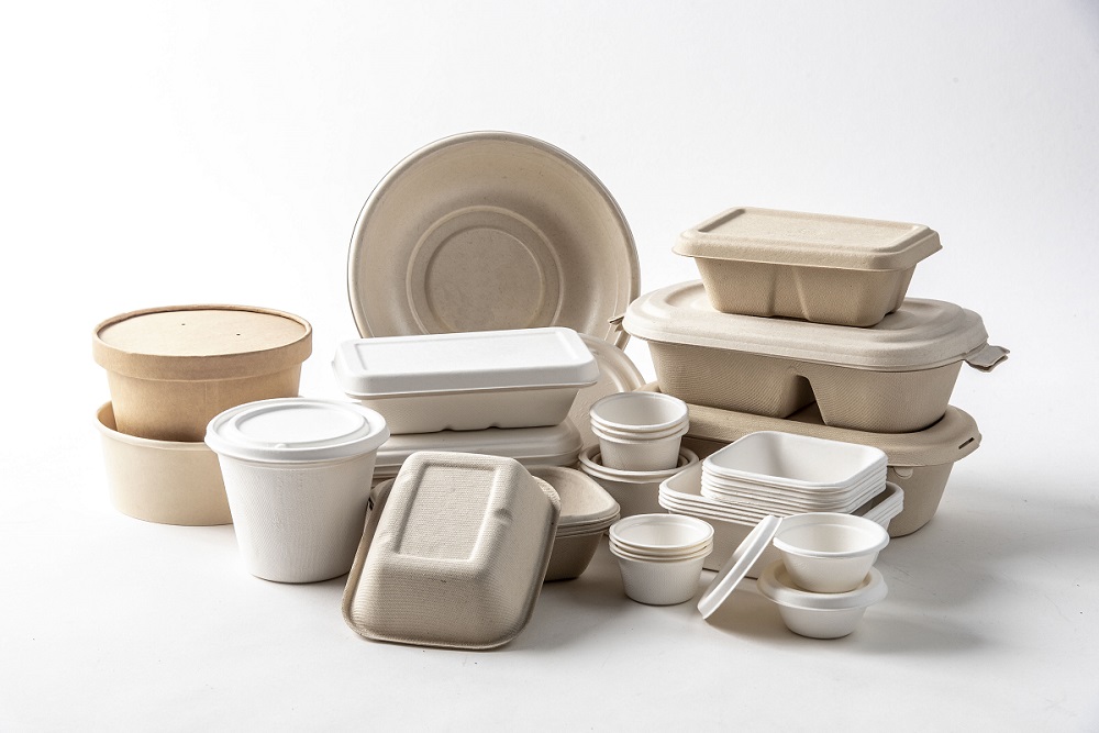 bagasse-tableware-gxflight.jpg